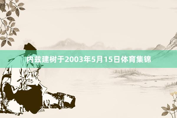 内兹建树于2003年5月15日体育集锦