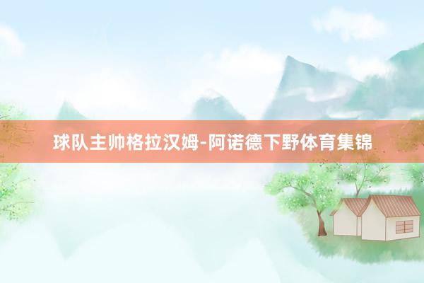 球队主帅格拉汉姆-阿诺德下野体育集锦