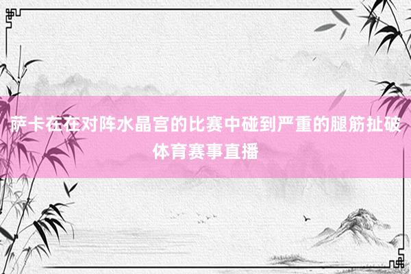 萨卡在在对阵水晶宫的比赛中碰到严重的腿筋扯破体育赛事直播