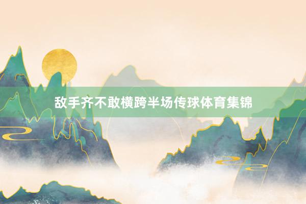 敌手齐不敢横跨半场传球体育集锦