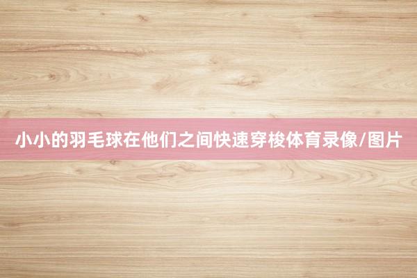 小小的羽毛球在他们之间快速穿梭体育录像/图片