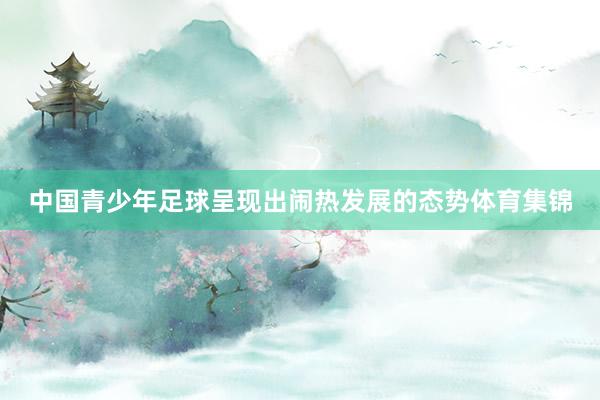 中国青少年足球呈现出闹热发展的态势体育集锦
