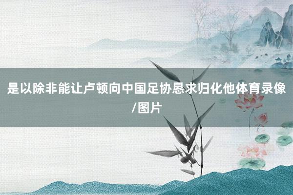 是以除非能让卢顿向中国足协恳求归化他体育录像/图片