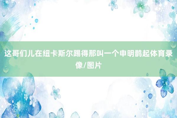 这哥们儿在纽卡斯尔踢得那叫一个申明鹊起体育录像/图片