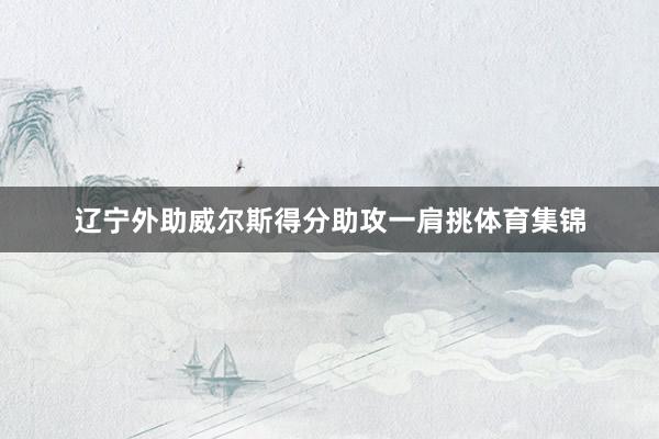 辽宁外助威尔斯得分助攻一肩挑体育集锦
