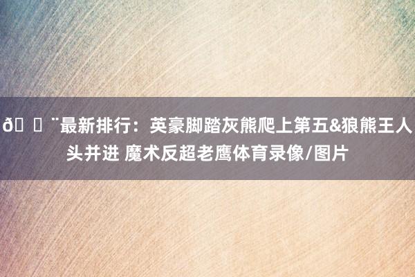 🚨最新排行：英豪脚踏灰熊爬上第五&狼熊王人头并进 魔术反超老鹰体育录像/图片