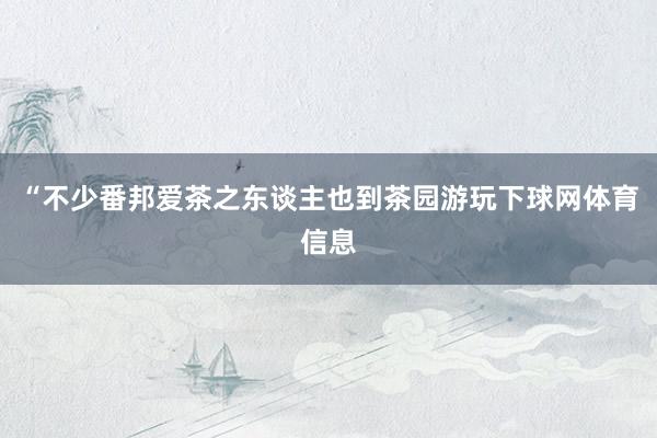 “不少番邦爱茶之东谈主也到茶园游玩下球网体育信息