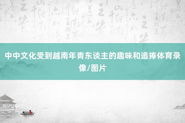 中中文化受到越南年青东谈主的趣味和追捧体育录像/图片