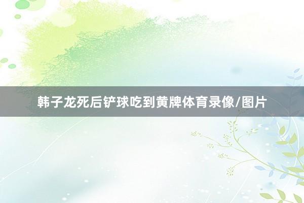韩子龙死后铲球吃到黄牌体育录像/图片