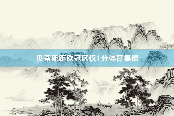 贝蒂斯距欧冠区仅1分体育集锦