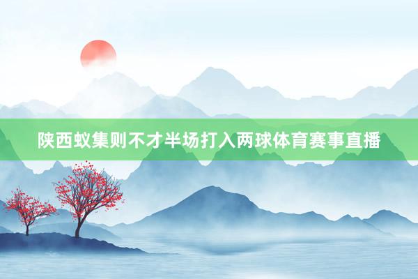 陕西蚁集则不才半场打入两球体育赛事直播
