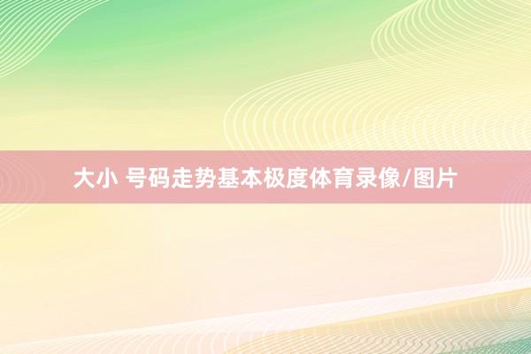 大小 号码走势基本极度体育录像/图片