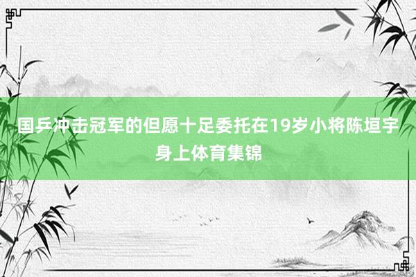 国乒冲击冠军的但愿十足委托在19岁小将陈垣宇身上体育集锦