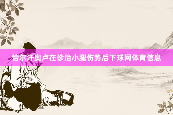 恰尔汗奥卢在诊治小腿伤势后下球网体育信息