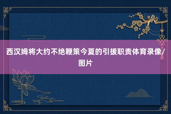 西汉姆将大约不绝鞭策今夏的引援职责体育录像/图片