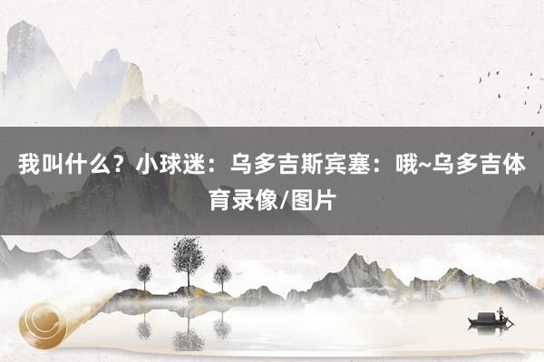 我叫什么？小球迷：乌多吉斯宾塞：哦~乌多吉体育录像/图片