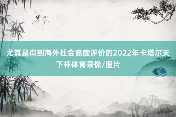 尤其是得到海外社会高度评价的2022年卡塔尔天下杯体育录像/图片