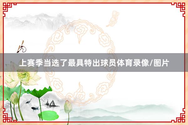 上赛季当选了最具特出球员体育录像/图片