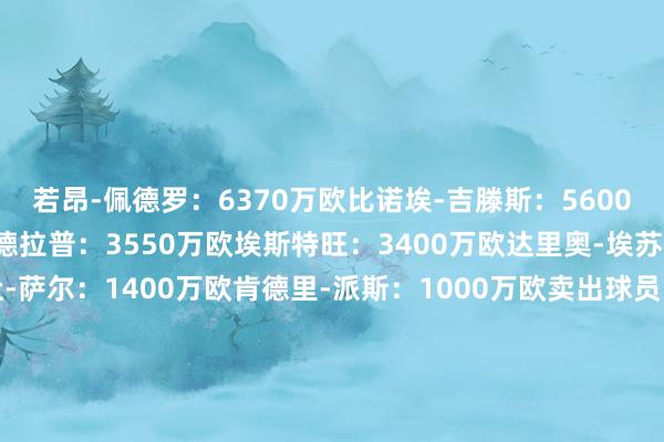 若昂-佩德罗：6370万欧比诺埃-吉滕斯：5600万欧哈托：4418万欧德拉普：3550万欧埃斯特旺：3400万欧达里奥-埃苏戈：2227万欧马马杜-萨尔：1400万欧肯德里-派斯：1000万欧卖出球员：马杜埃凯：5600万欧若昂-菲利克斯：3000万欧彼得罗维奇：2900万欧乌戈舒库：2900万欧迪尤斯伯里-霍尔：2900万欧布罗亚：2300万欧阿穆古：1450万欧汉弗莱斯：1400万欧凯帕：580万欧贝蒂内利：240万欧体育录像/图片