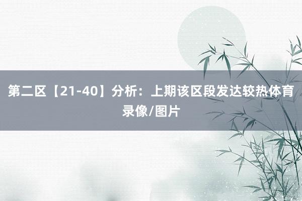 第二区【21-40】分析：上期该区段发达较热体育录像/图片