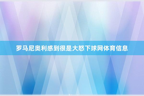罗马尼奥利感到很是大怒下球网体育信息
