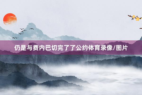 仍是与费内巴切完了了公约体育录像/图片