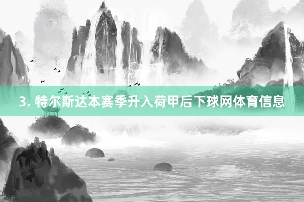3. 特尔斯达本赛季升入荷甲后下球网体育信息