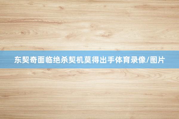 东契奇面临绝杀契机莫得出手体育录像/图片