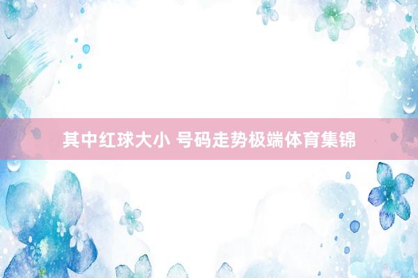 其中红球大小 号码走势极端体育集锦