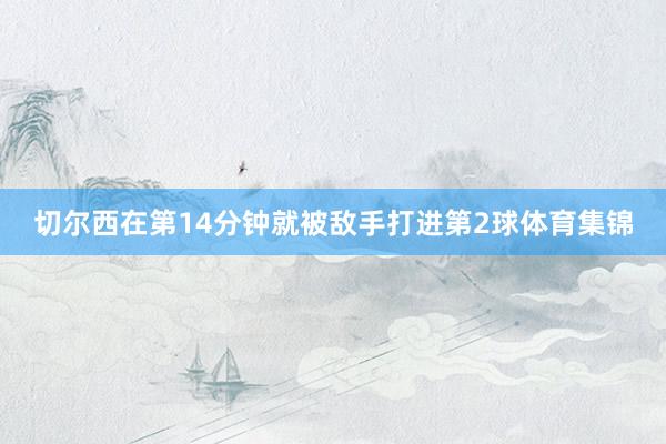 切尔西在第14分钟就被敌手打进第2球体育集锦