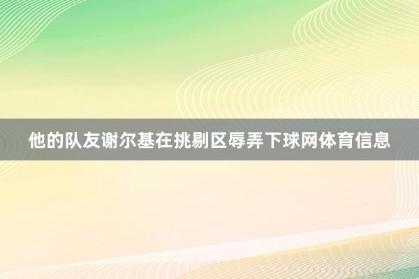 他的队友谢尔基在挑剔区辱弄下球网体育信息