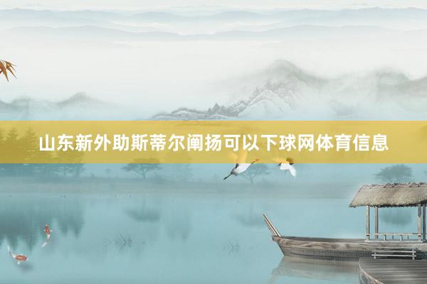 山东新外助斯蒂尔阐扬可以下球网体育信息