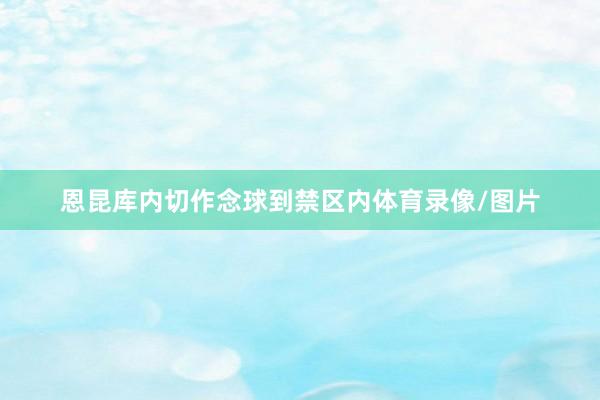恩昆库内切作念球到禁区内体育录像/图片
