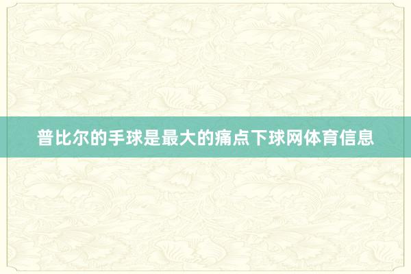 普比尔的手球是最大的痛点下球网体育信息
