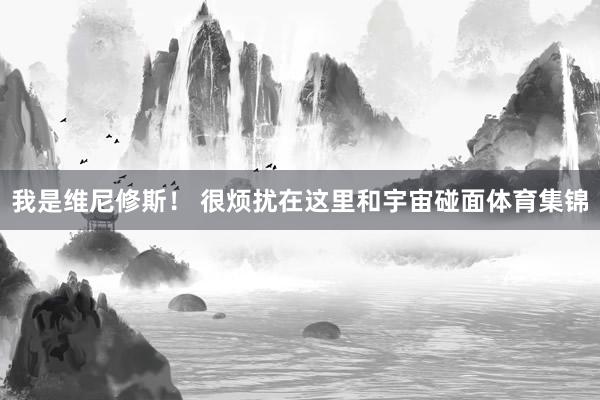 我是维尼修斯！ 很烦扰在这里和宇宙碰面体育集锦
