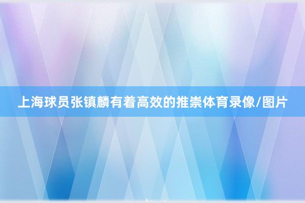 上海球员张镇麟有着高效的推崇体育录像/图片
