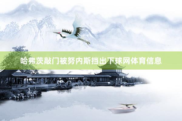 哈弗茨敲门被努内斯挡出下球网体育信息