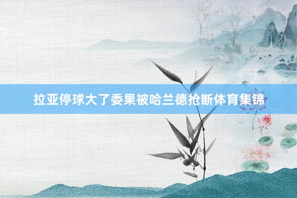 拉亚停球大了委果被哈兰德抢断体育集锦
