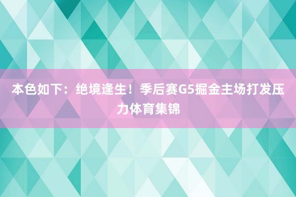 本色如下：绝境逢生！季后赛G5掘金主场打发压力体育集锦