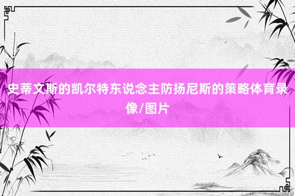 史蒂文斯的凯尔特东说念主防扬尼斯的策略体育录像/图片