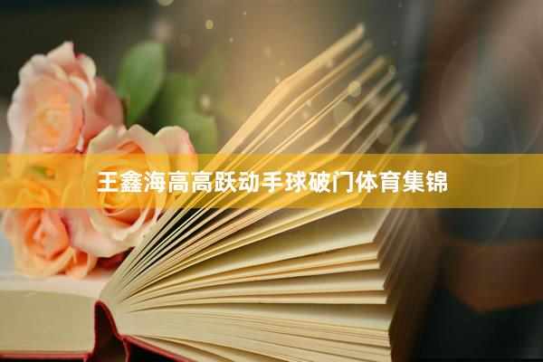 王鑫海高高跃动手球破门体育集锦