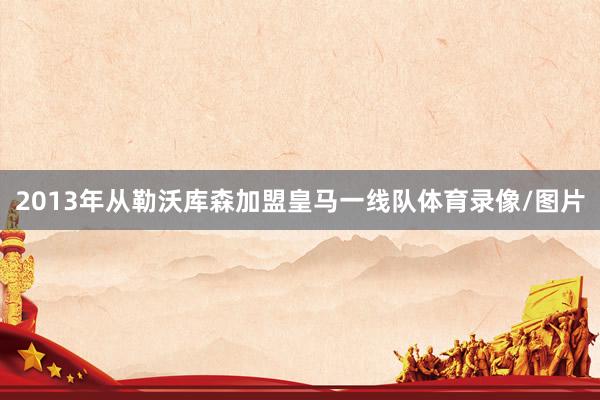 2013年从勒沃库森加盟皇马一线队体育录像/图片