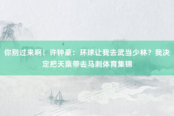 你别过来啊！许钟豪：环球让我去武当少林？我决定把天禀带去马刺体育集锦